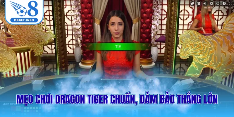 Rồng Hổ - Cơ Hội Săn Thưởng Khủng Với 4 Mẹo Vào Tiền Bất Bại 3 Mẹo chơi dragon tiger chuẩn, đảm bảo thắng lớn