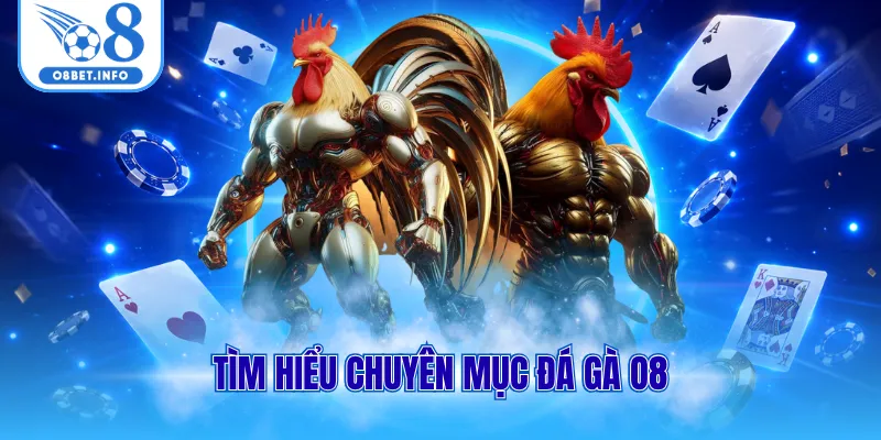 Tìm hiểu chuyên mục đá gà O8