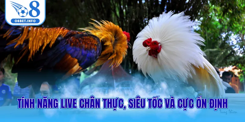 Tính năng live chân thực, siêu tốc và cực ổn định