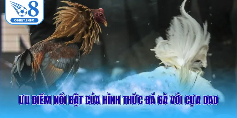 Ưu điểm nổi bật của hình thức đá gà với cựa dao